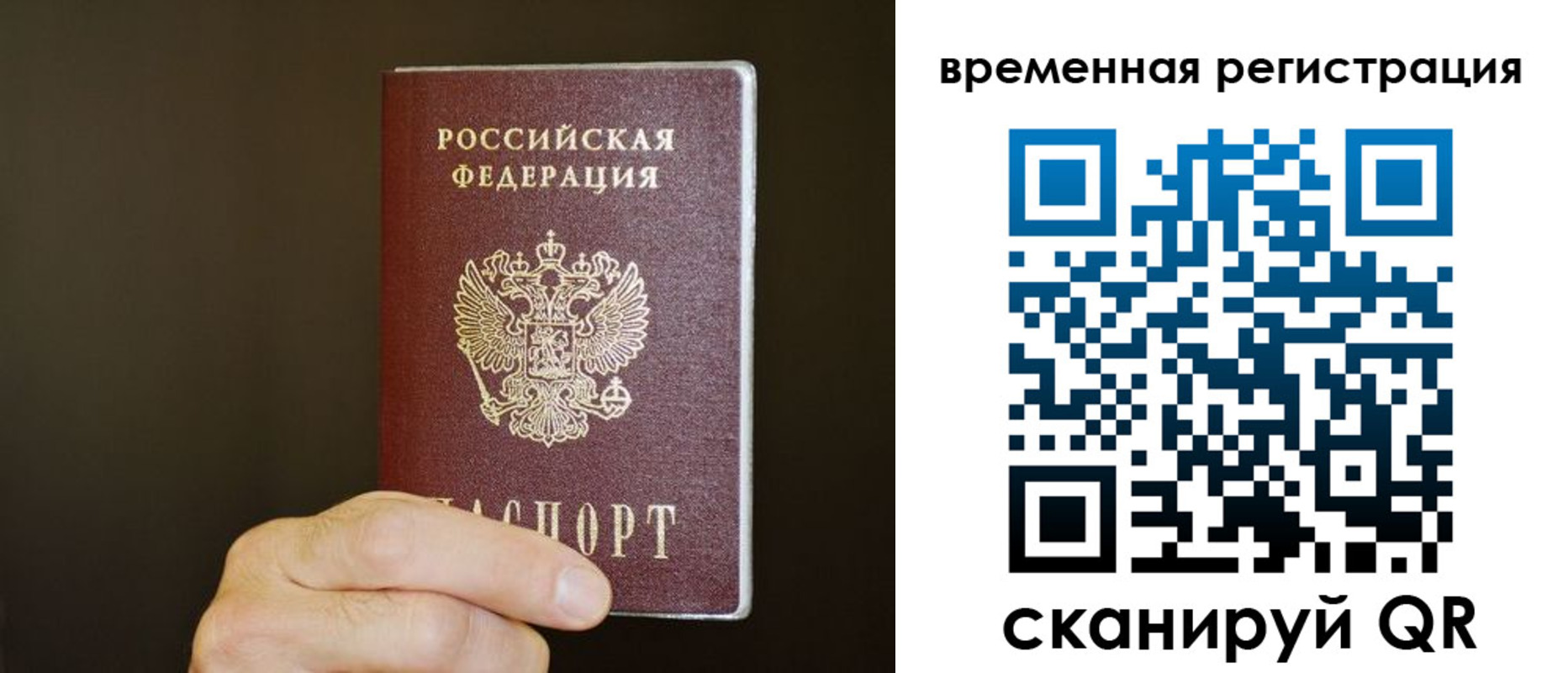 прописка гарантия в Бабаево
